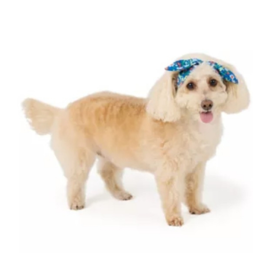 NWT Floral Bow Headband For Dogs